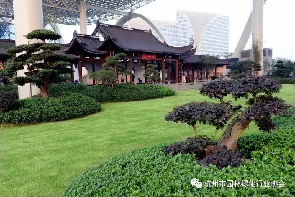 荣耀绽放 2016年度杭州市优秀园林绿化工程综合组金奖——杭州国际园林绿化工程