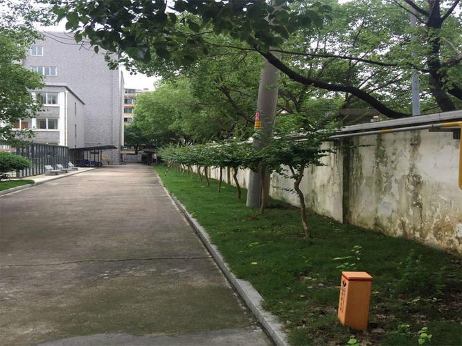 园林绿化工程承包 从专业实施到生态价值的全面解析